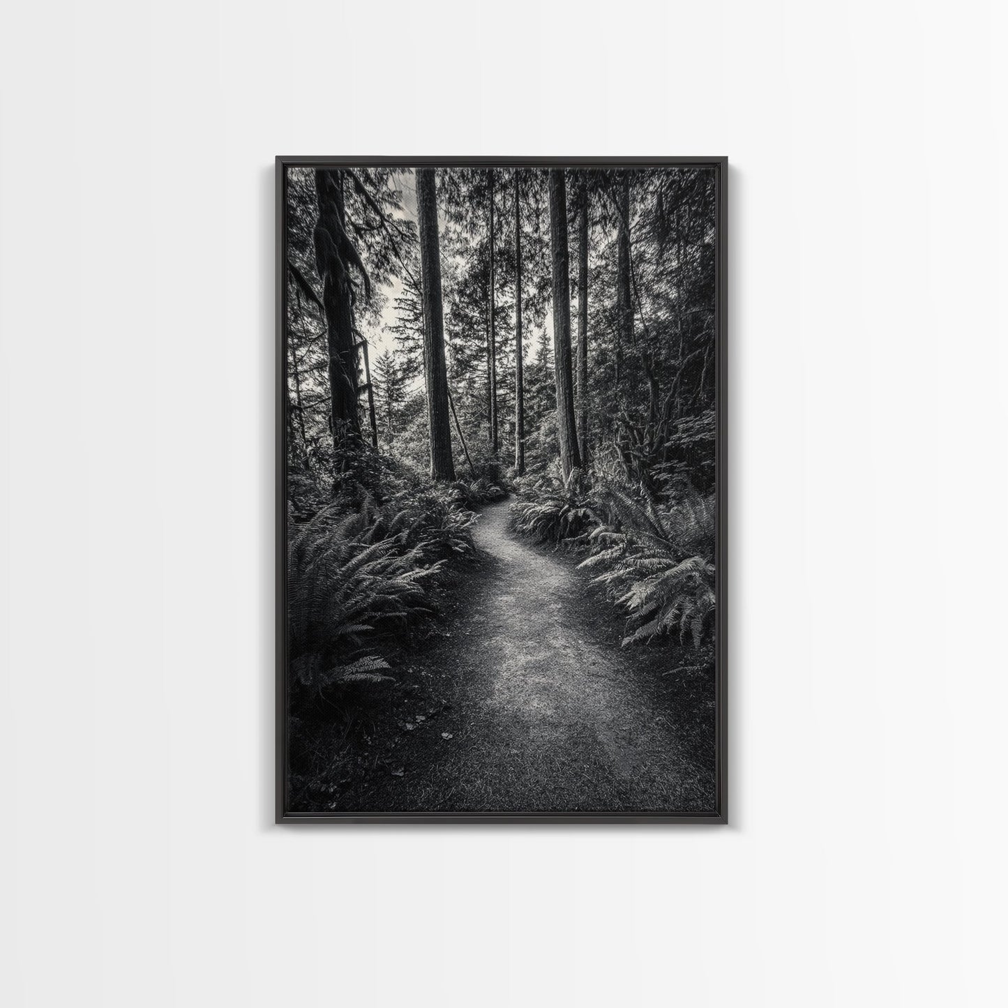 Fern Pathway, Enchanted Forest, Woodland Trail, Framed Canvas Print, Nature Walk Wall Art, Boho Bedroom Decor, Moody Landscape Style