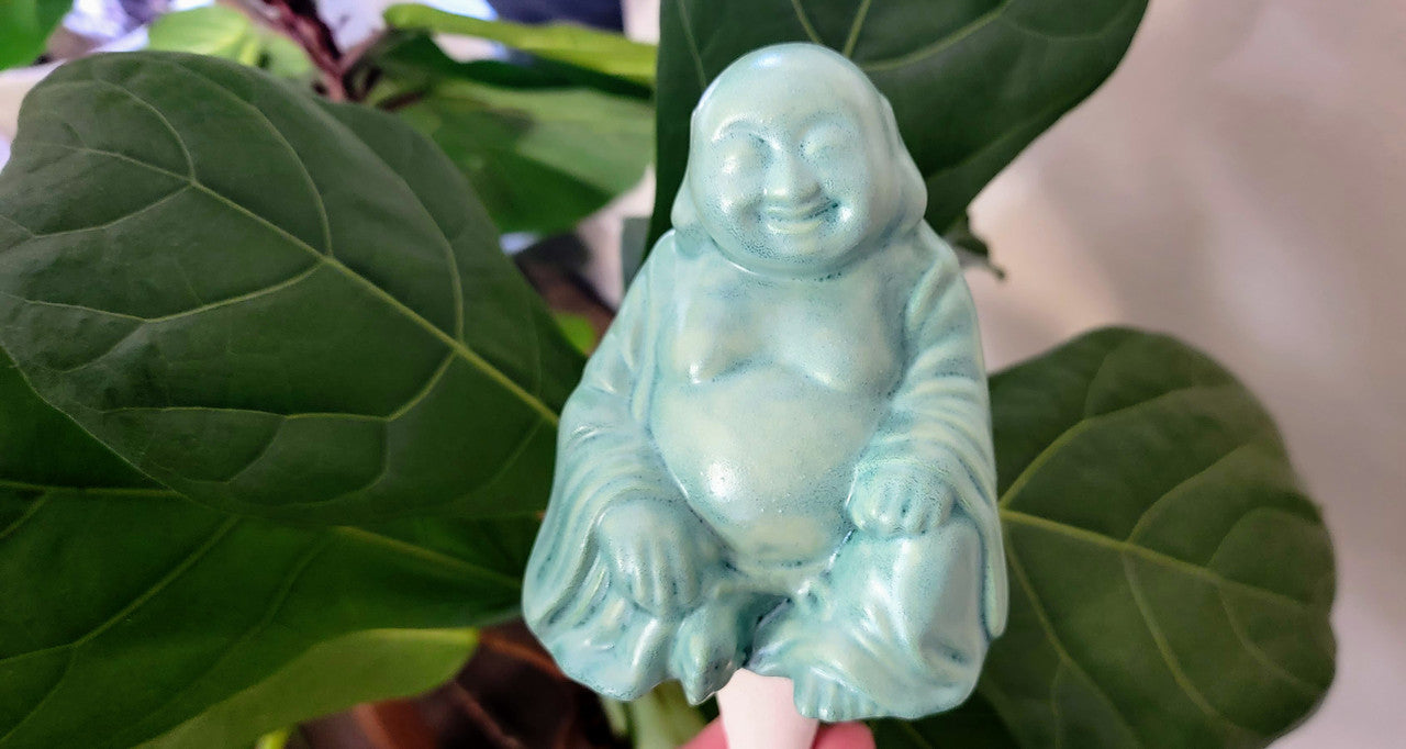 Big Buddha Plant Watering Spike