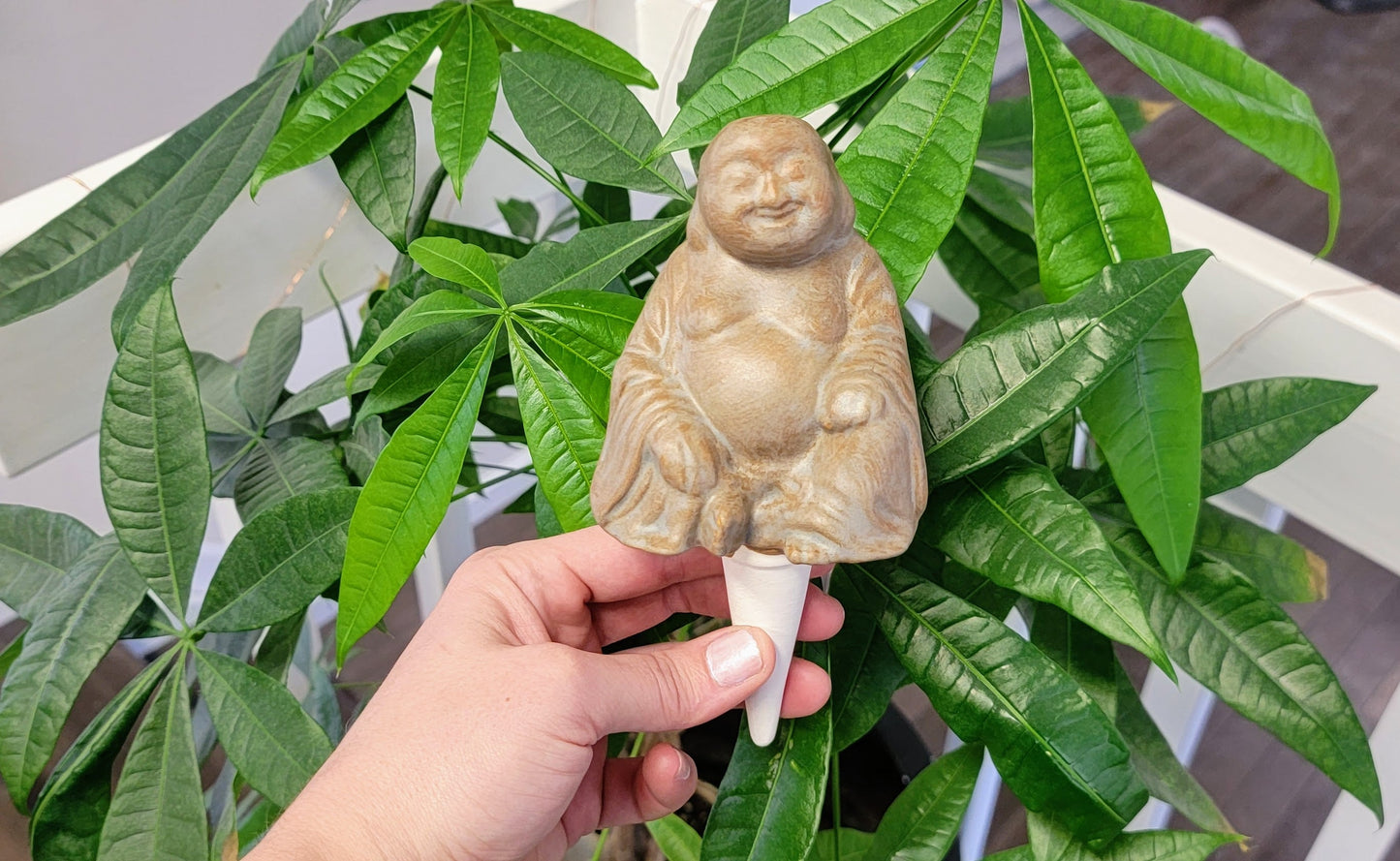 Big Buddha Plant Watering Spike