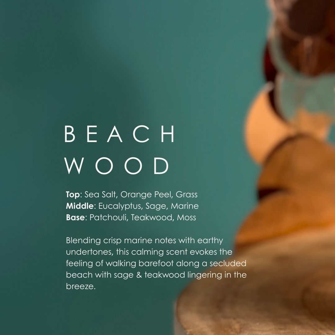 Beachwood Soy Candle – Earthy Coastal Breeze