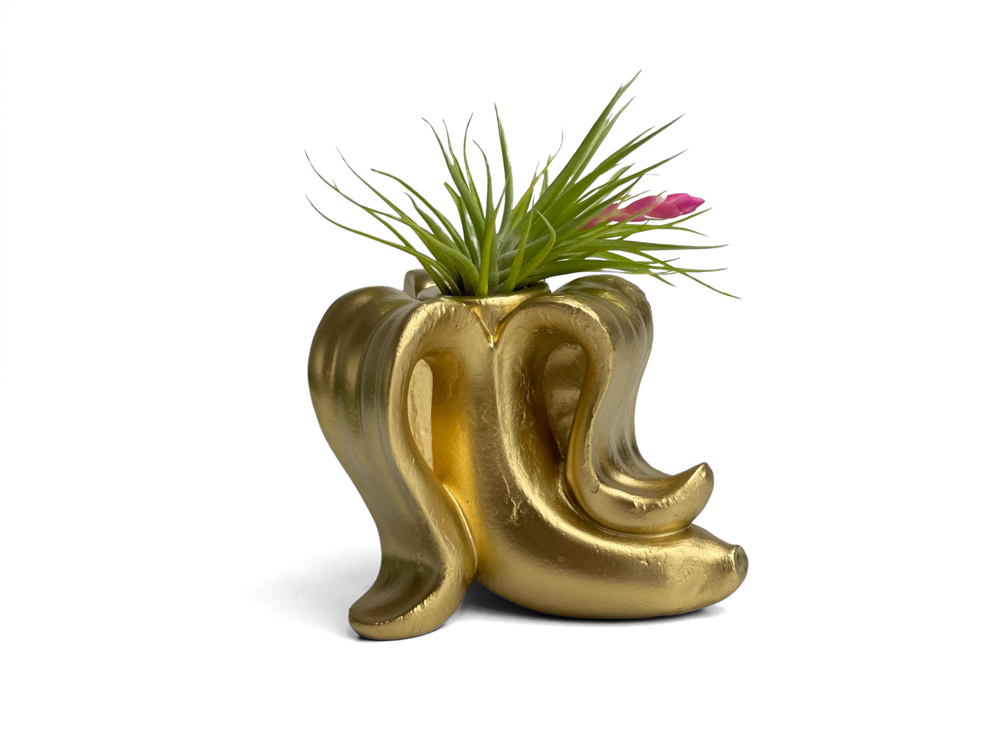 Handmade Concrete Banana Air Plant Holder