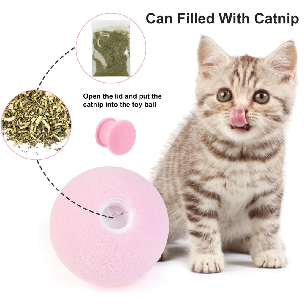 Interactive Cat Ball with Catnip & Squeak – Fun Training Toy for Kittens