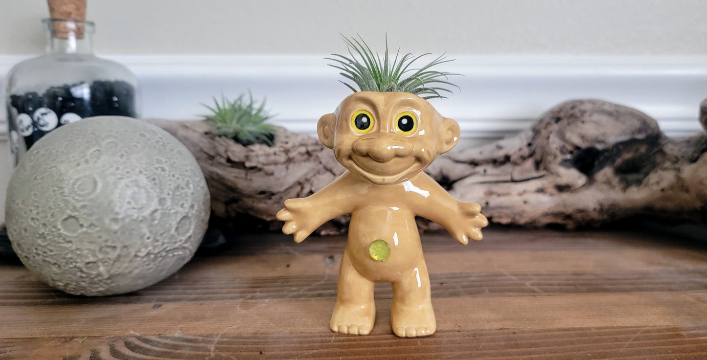 Treasure Troll Air Plant Holder