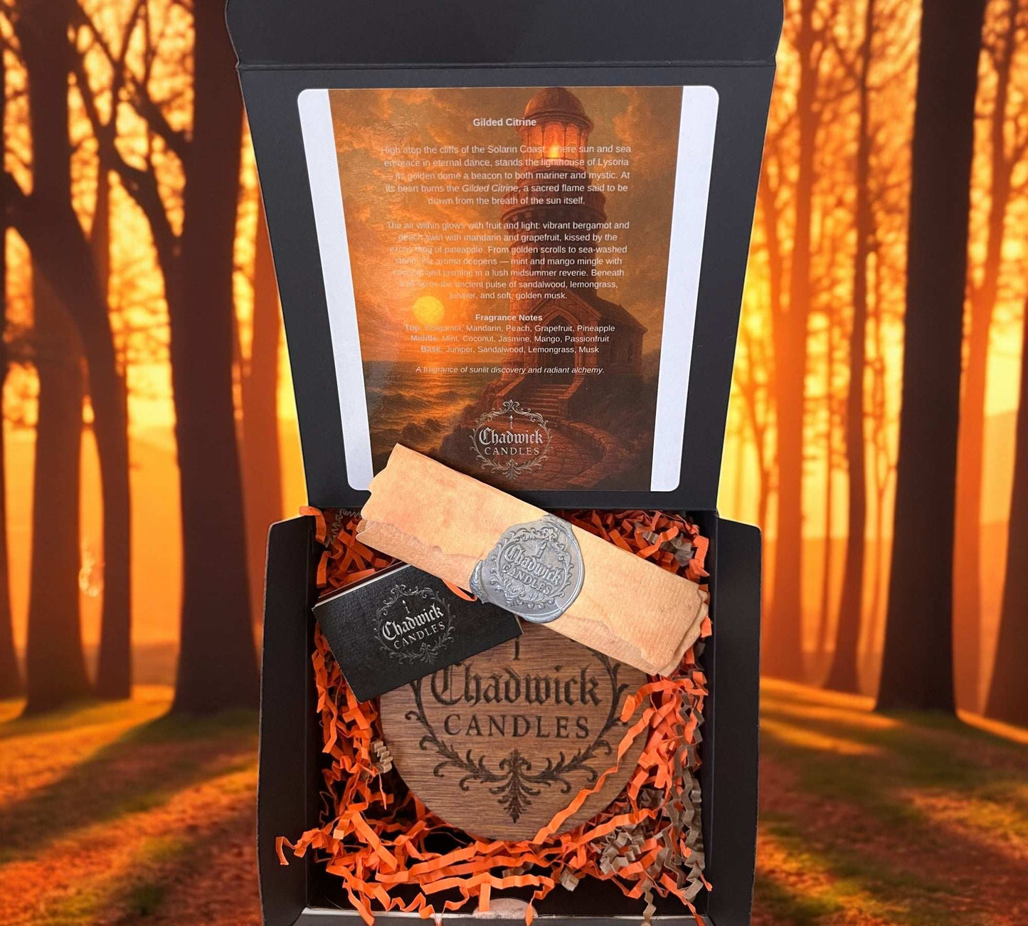 Gilded Citrine – Luxury Coconut Apricot Crème Candle with Wood Wick in Amber Glass