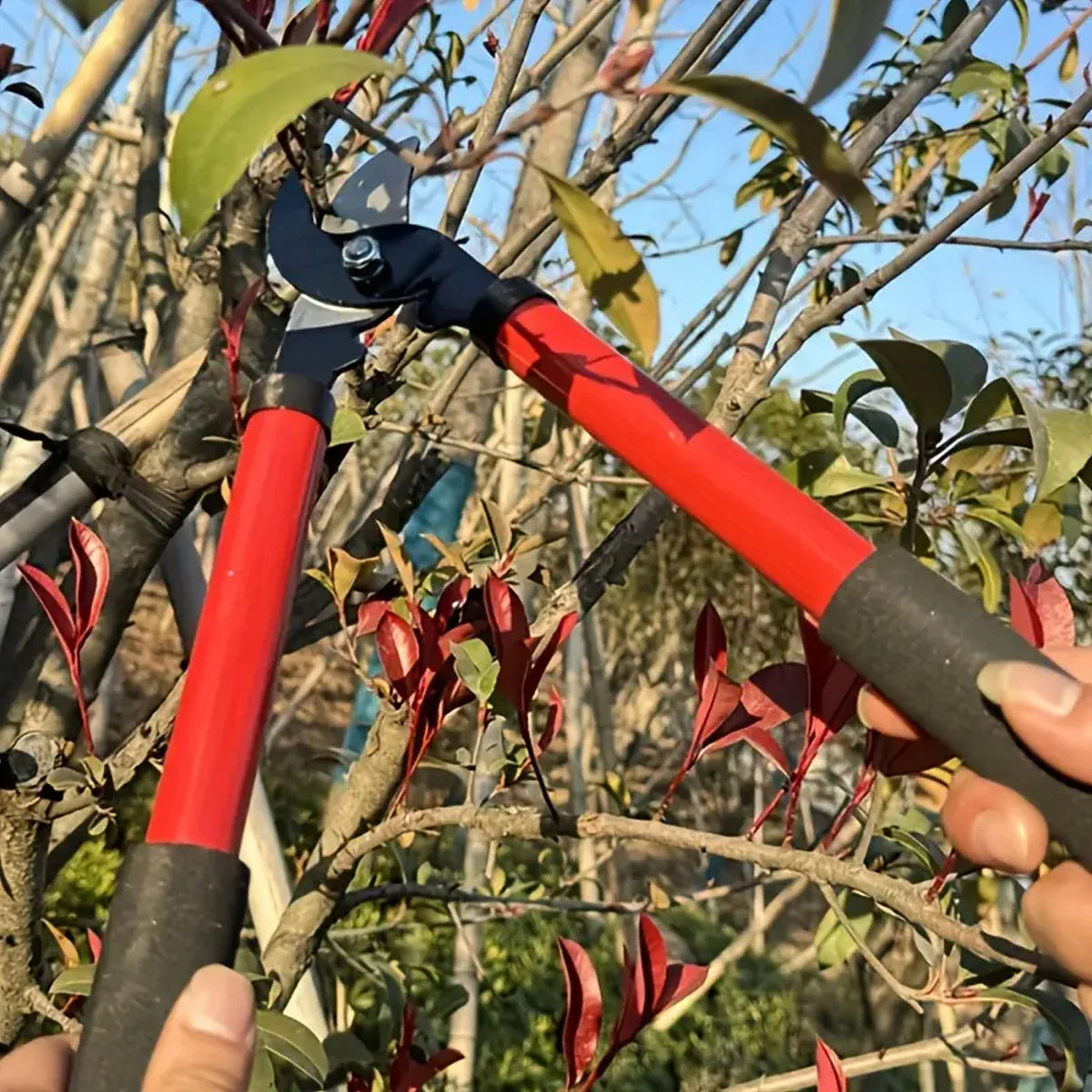 Portable Pruning Shears for Coarse Branches | Gardening Tool