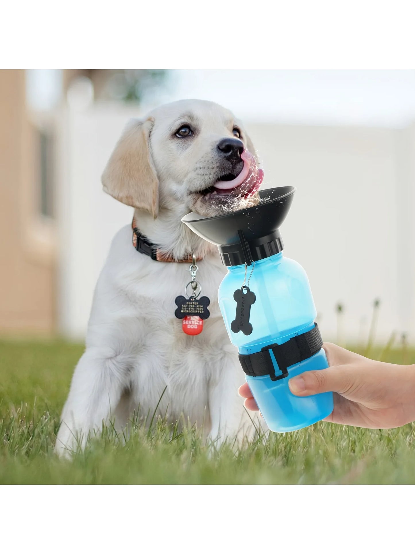 Portable Dog Water Bottle - Travel Water Dispenser for Pets