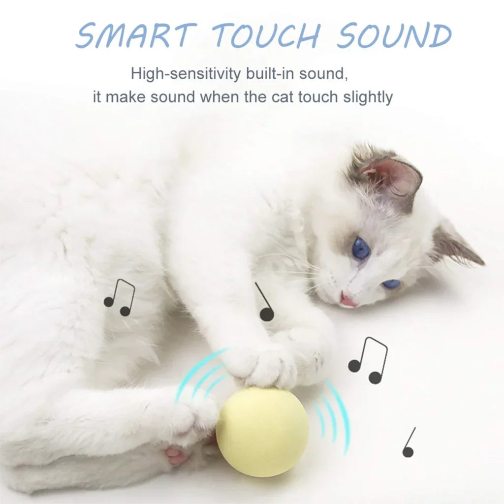 Interactive Cat Ball with Catnip & Squeak – Fun Training Toy for Kittens