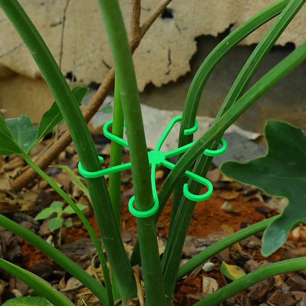 Reusable Plant Stem Support | No Stake Trellis Organizer