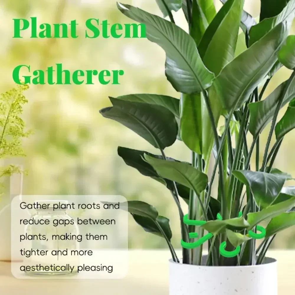 Reusable Plant Stem Support | No Stake Trellis Organizer