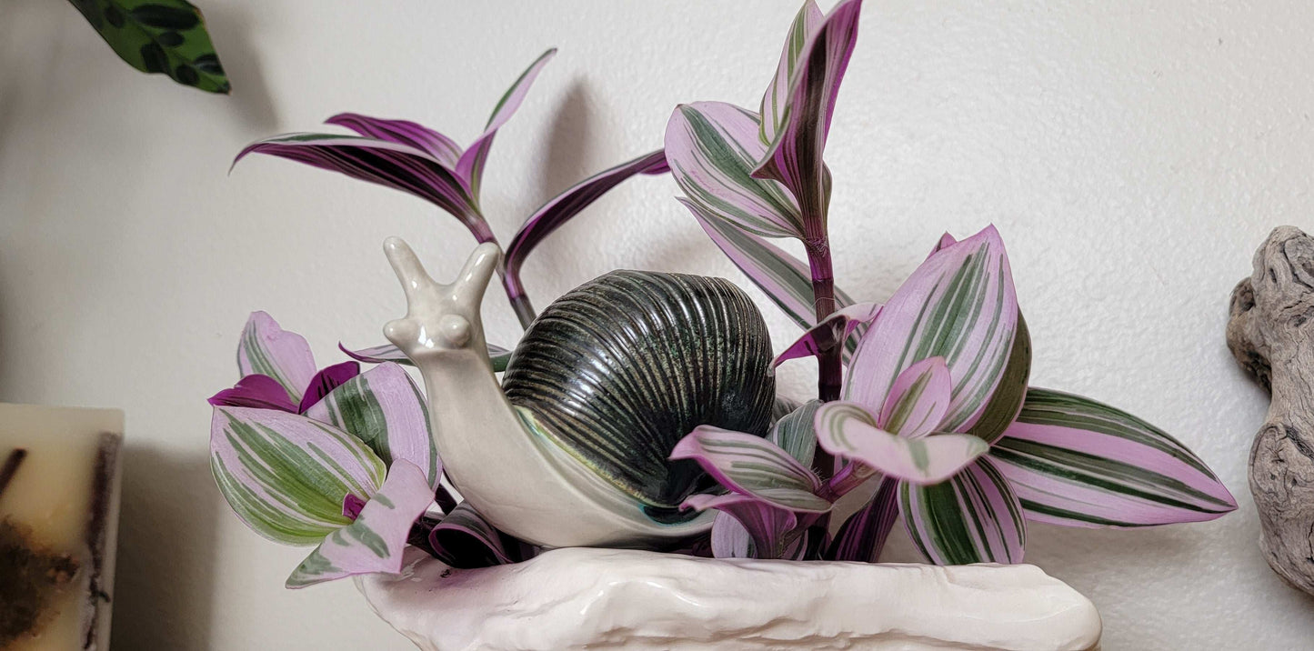 Large Snail Ceramic Plant Watering Spike