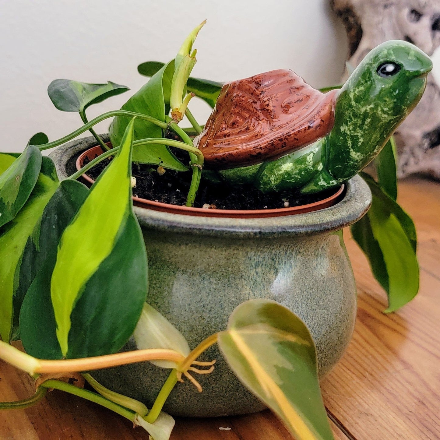 Small Ceramic Plant Watering Spike – Perfect for Petite Plants