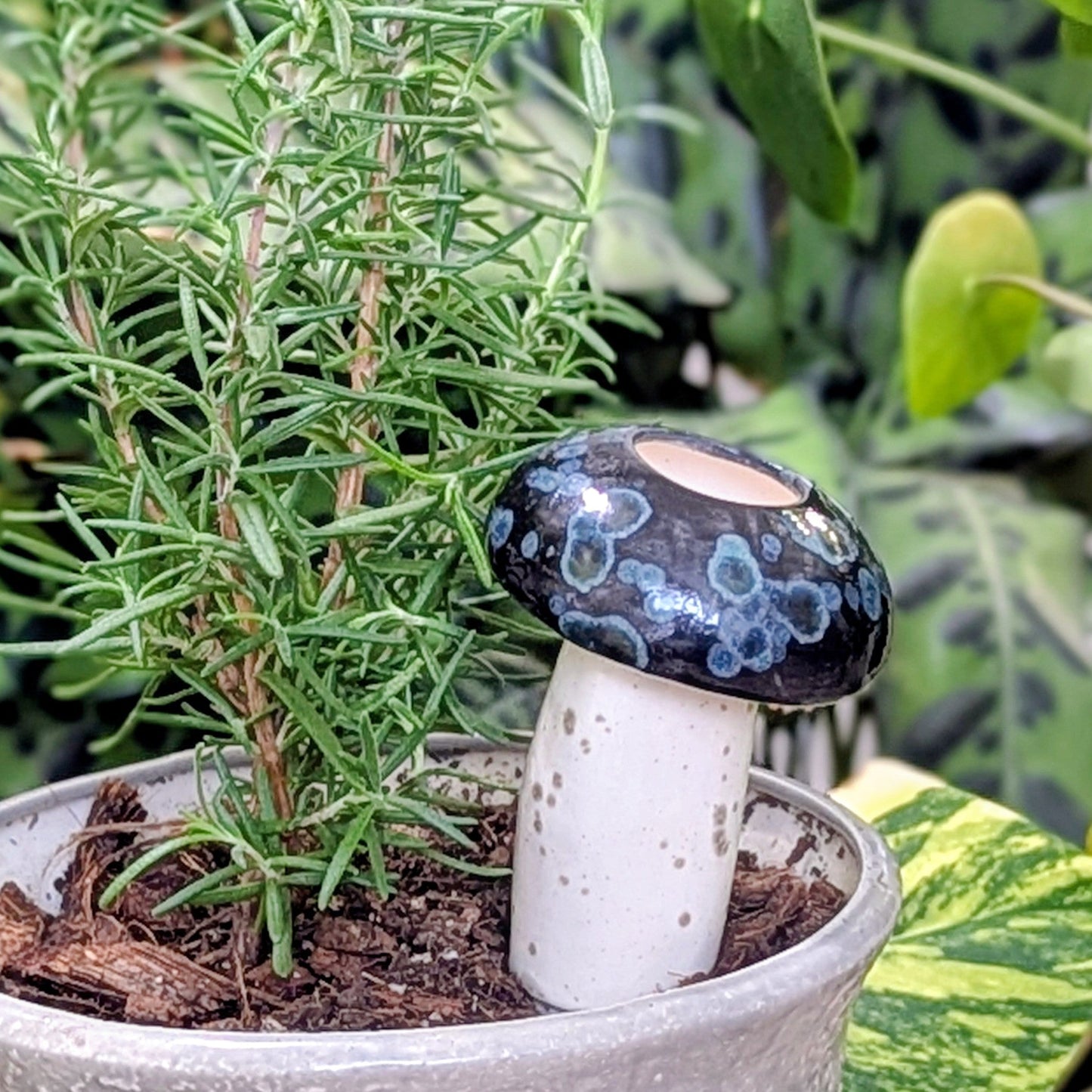 Hand-Crafted Mushroom Plant Watering Spike – Exclusive Mountain Mudworks Design