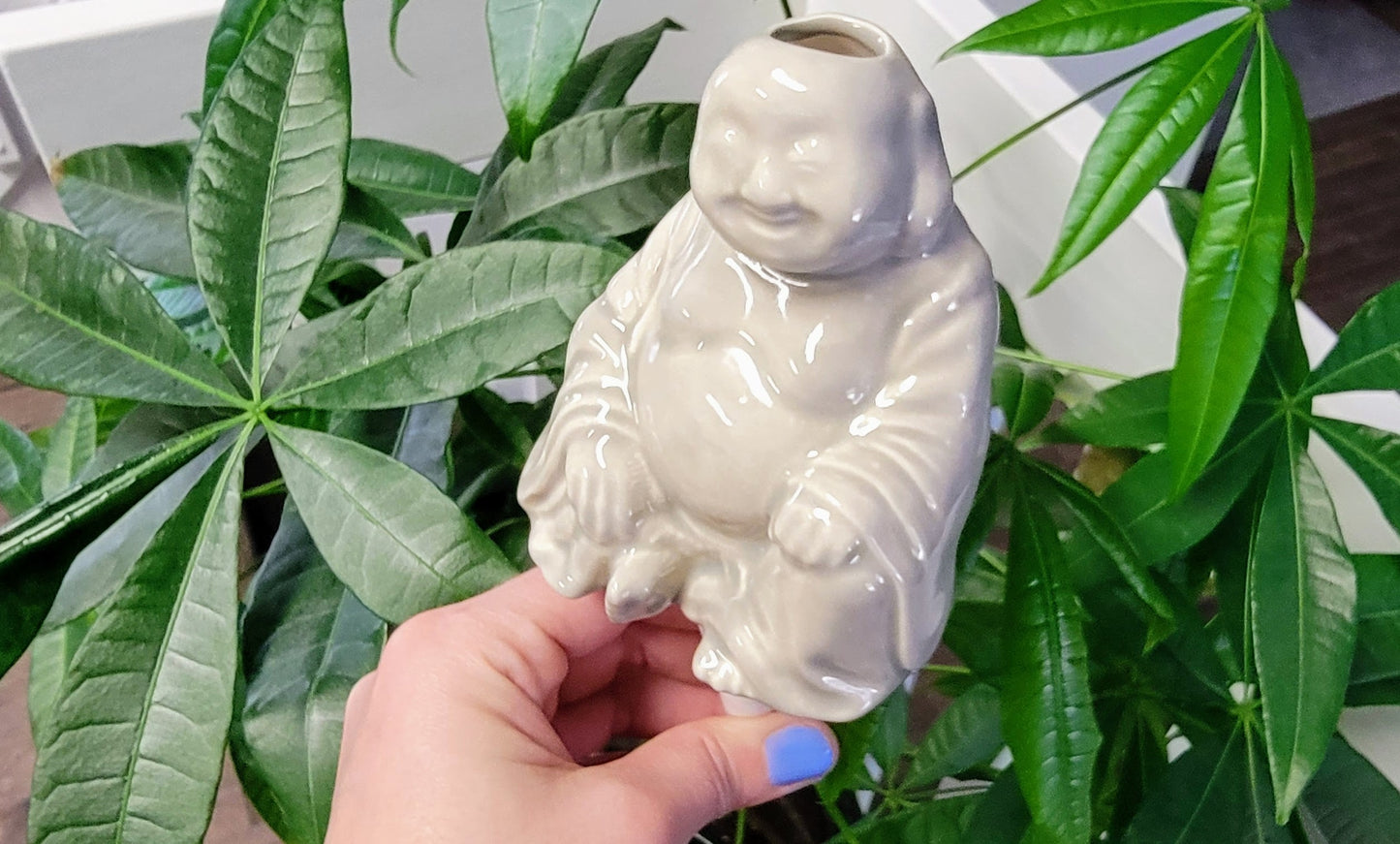 Big Buddha Plant Watering Spike