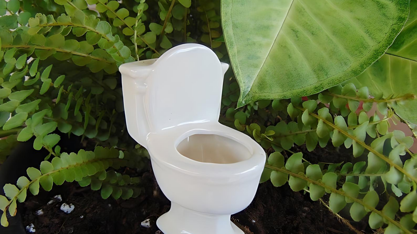 Toilet Watering Spike – Funny Ceramic Self-Watering Plant Stake