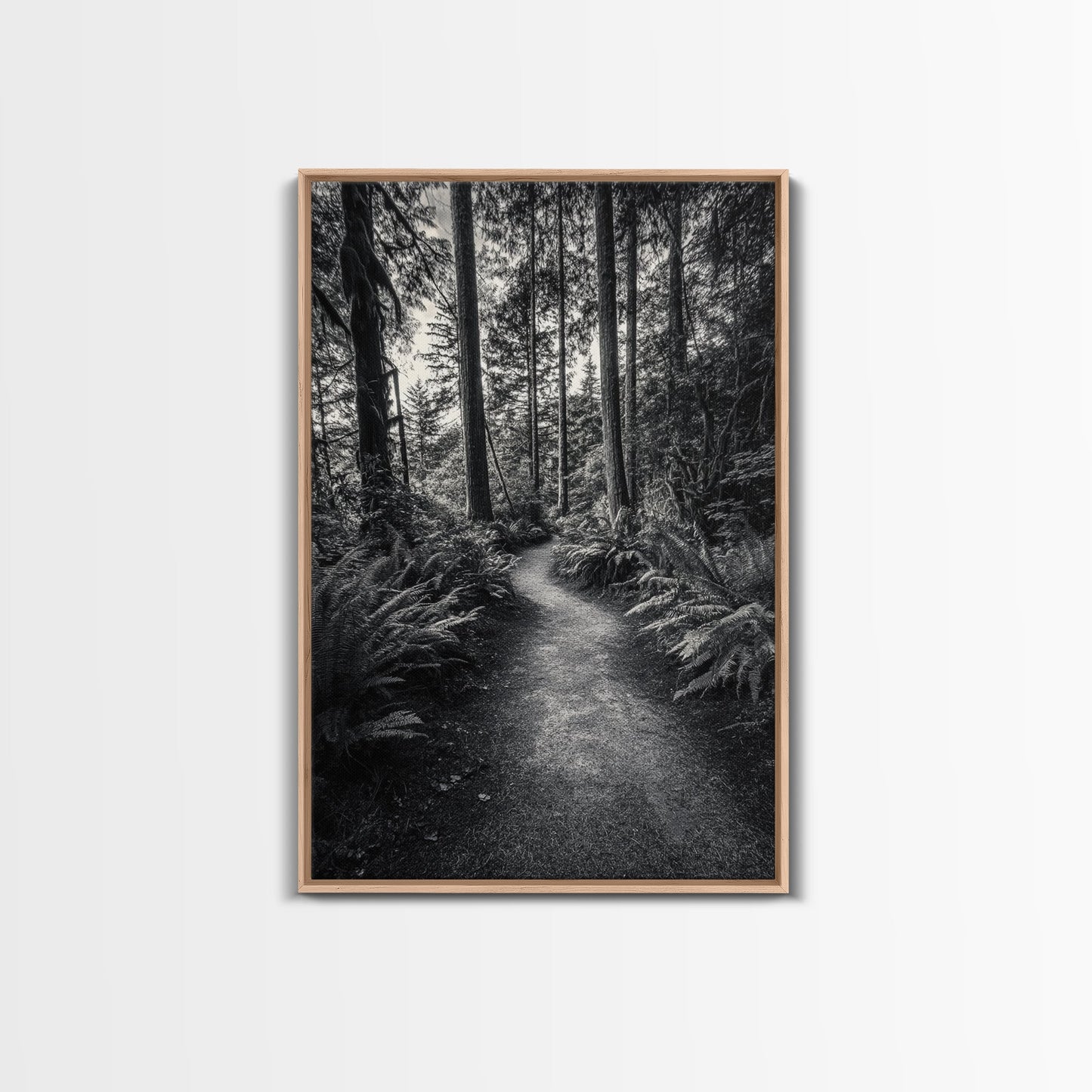 Fern Pathway, Enchanted Forest, Woodland Trail, Framed Canvas Print, Nature Walk Wall Art, Boho Bedroom Decor, Moody Landscape Style