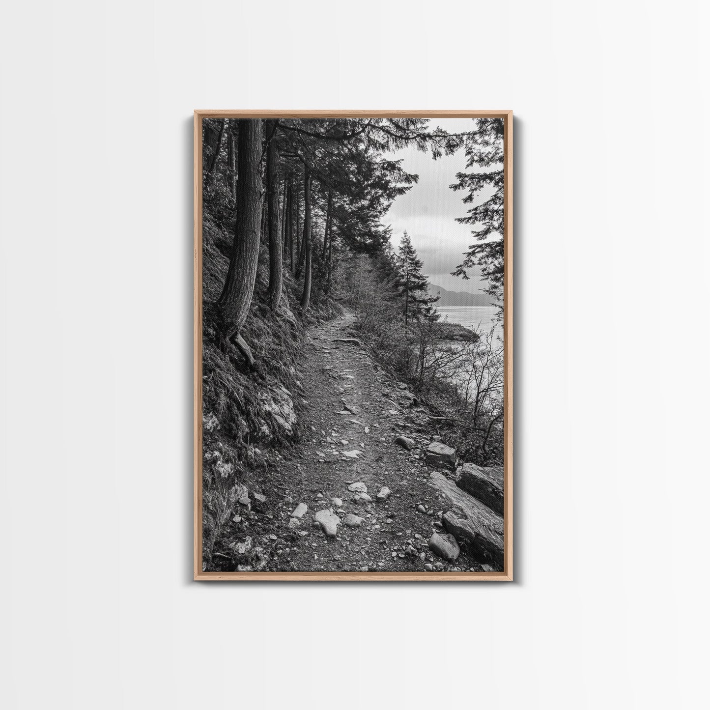 Forest Pathway Trail, Wilderness Escape, Black and White Framed Canvas Print
