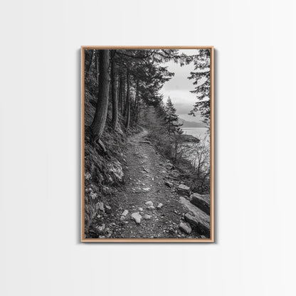 Forest Pathway Trail, Wilderness Escape, Black and White Framed Canvas Print