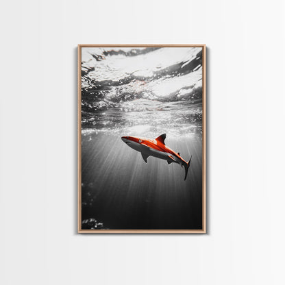Red Shark, Underwater Scene, Ocean Light Rays, Color Contrast, Canvas Print
