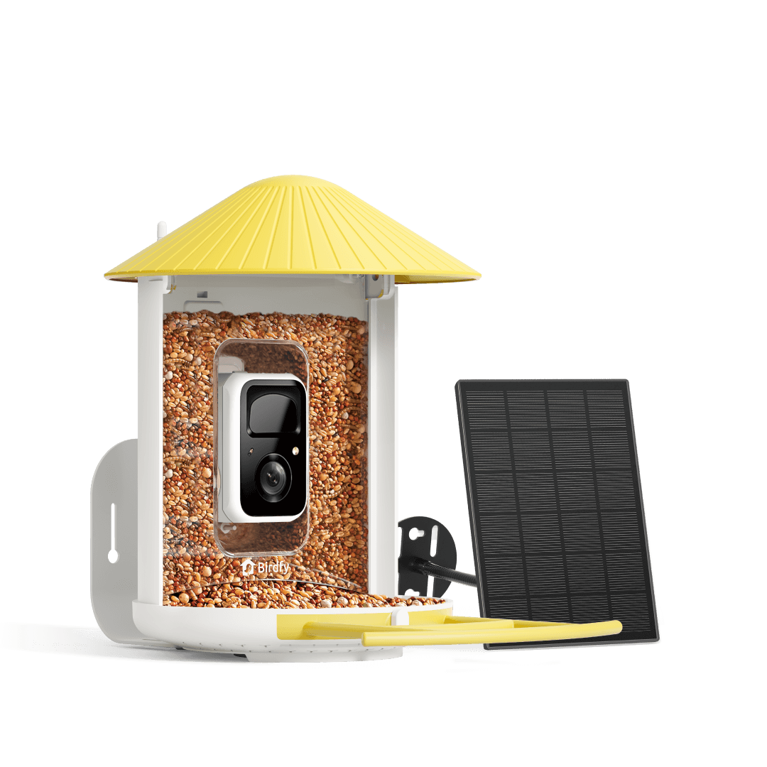 Solar Smart Bird Feeder with AI HD Camera