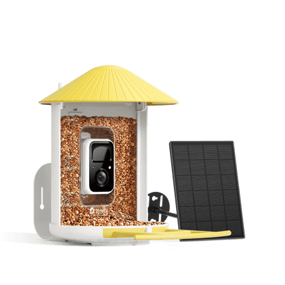 Solar Smart Bird Feeder with AI HD Camera
