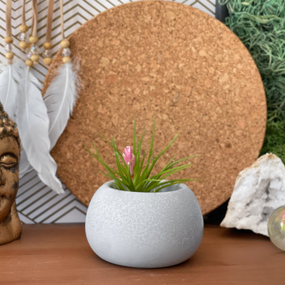 Handmade Concrete Succulent Planter