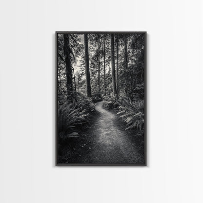 Fern Pathway, Enchanted Forest, Woodland Trail, Framed Canvas Print, Nature Walk Wall Art, Boho Bedroom Decor, Moody Landscape Style