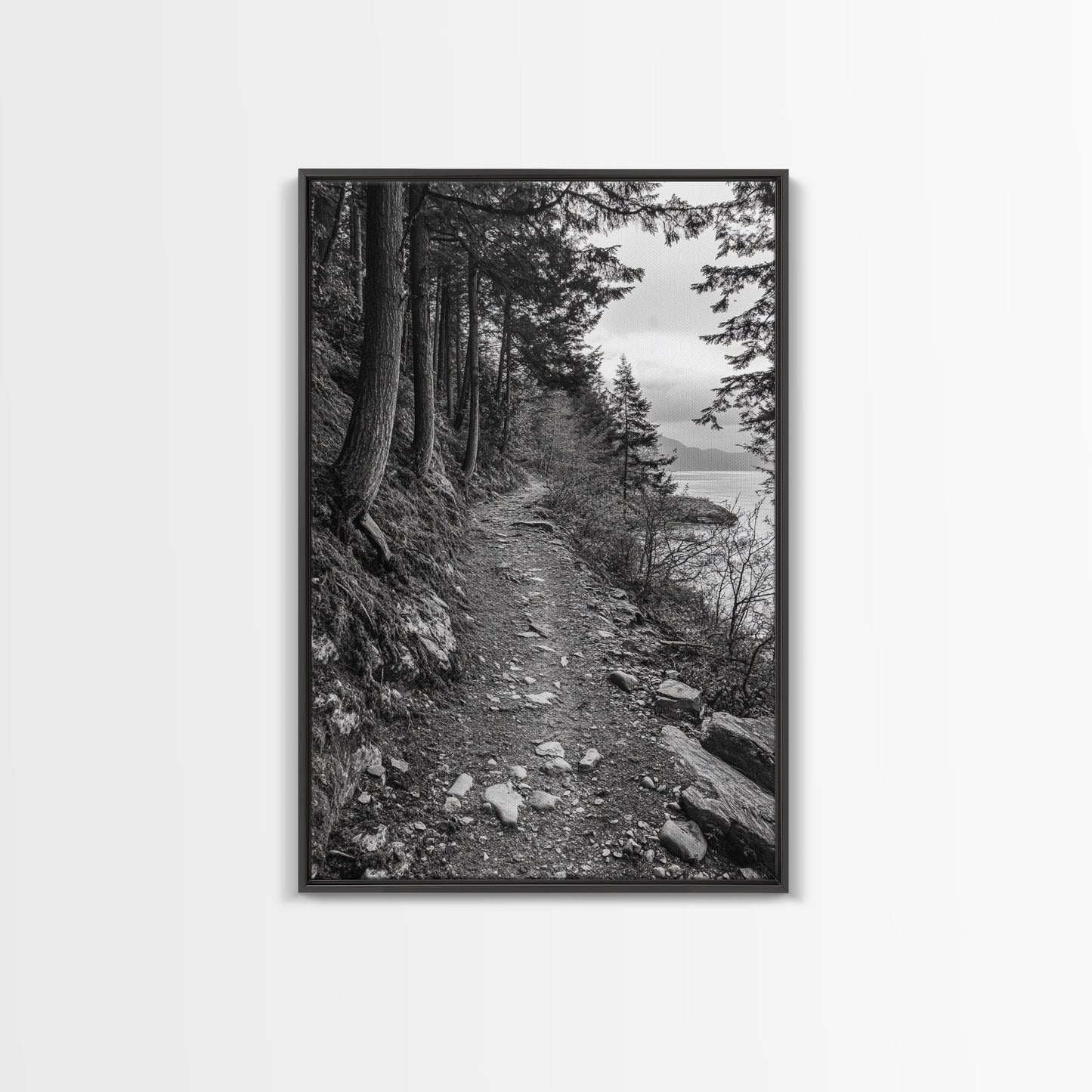 Forest Pathway Trail, Wilderness Escape, Black and White Framed Canvas Print