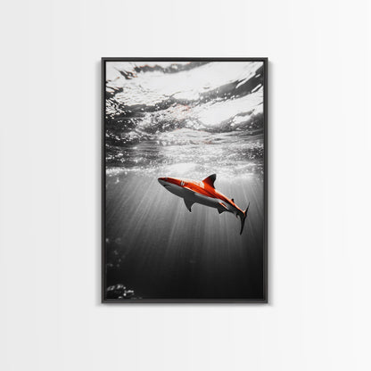 Red Shark, Underwater Scene, Ocean Light Rays, Color Contrast, Canvas Print