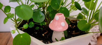 Mini Toadstool Ceramic Plant Watering Spike