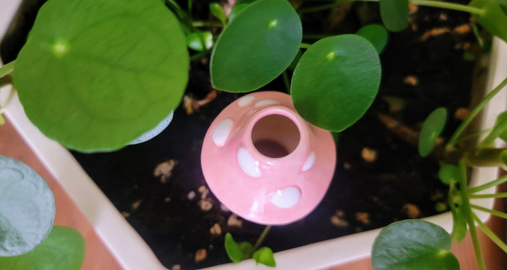 Mini Toadstool Ceramic Plant Watering Spike