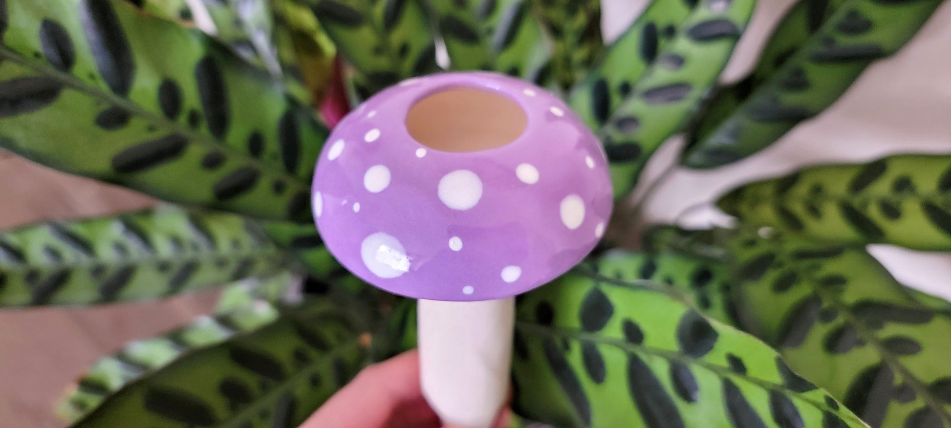 Magic Mushroom Plant Watering Spike – Self-Watering Garden Accessory