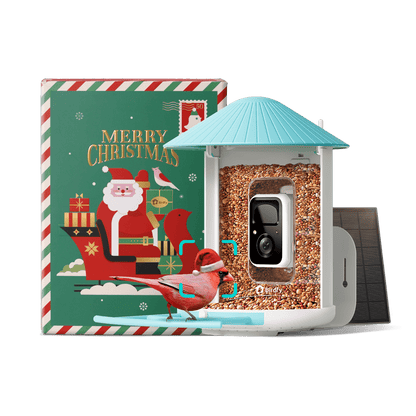 Solar Smart Bird Feeder with AI HD Camera