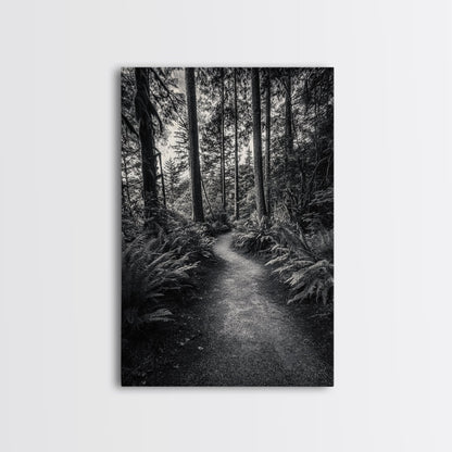 Fern Pathway, Enchanted Forest, Woodland Trail, Framed Canvas Print, Nature Walk Wall Art, Boho Bedroom Decor, Moody Landscape Style