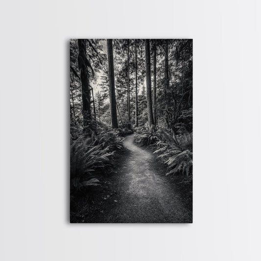 Fern Pathway, Enchanted Forest, Woodland Trail, Framed Canvas Print, Nature Walk Wall Art, Boho Bedroom Decor, Moody Landscape Style