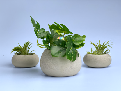 Handmade Concrete Succulent Planter