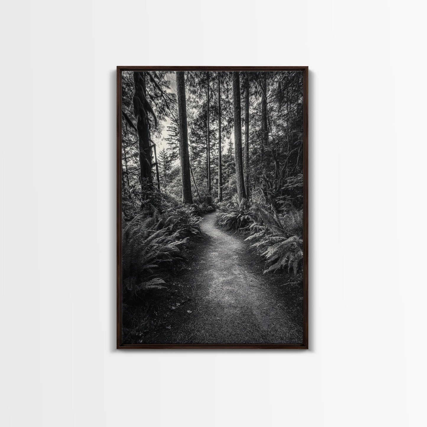 Fern Pathway, Enchanted Forest, Woodland Trail, Framed Canvas Print, Nature Walk Wall Art, Boho Bedroom Decor, Moody Landscape Style