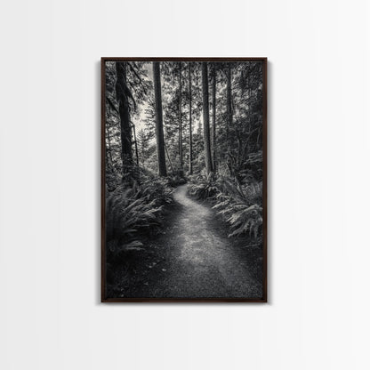 Fern Pathway, Enchanted Forest, Woodland Trail, Framed Canvas Print, Nature Walk Wall Art, Boho Bedroom Decor, Moody Landscape Style