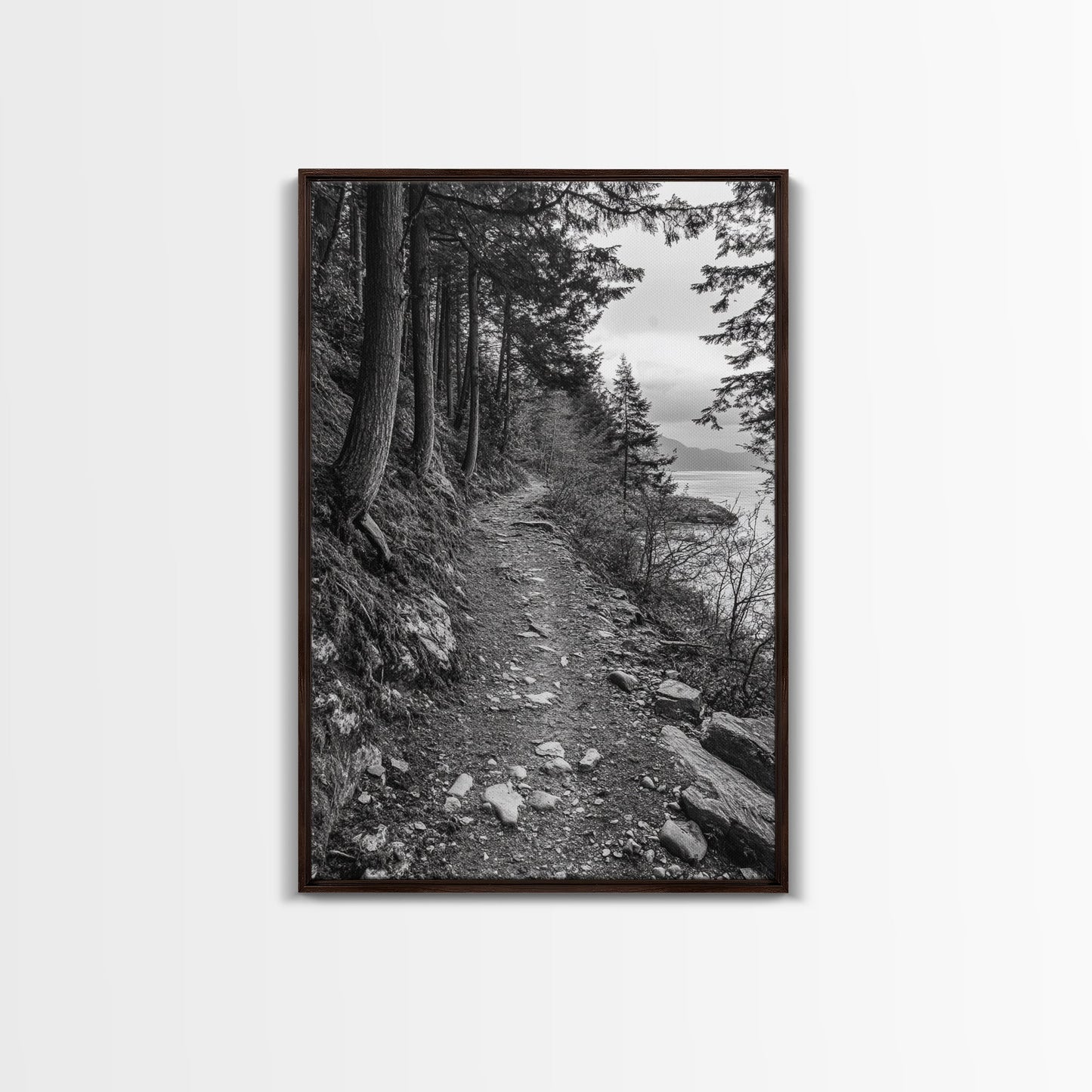 Forest Pathway Trail, Wilderness Escape, Black and White Framed Canvas Print