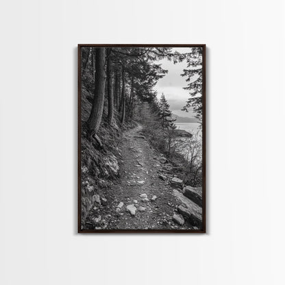 Forest Pathway Trail, Wilderness Escape, Black and White Framed Canvas Print