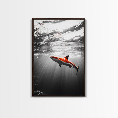 Red Shark, Underwater Scene, Ocean Light Rays, Color Contrast, Canvas Print