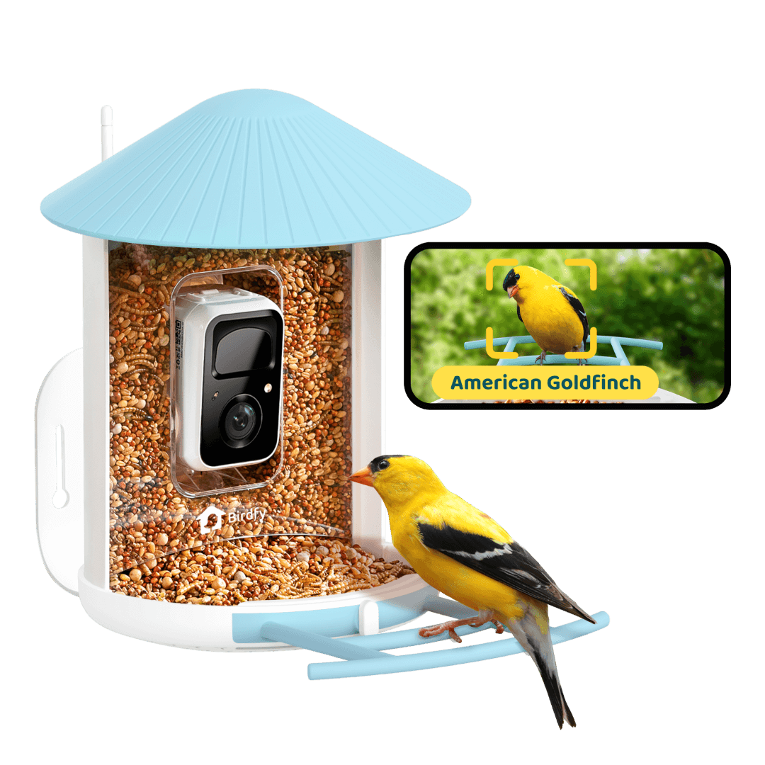 AI-Powered Smart Bird Feeder with Camera
