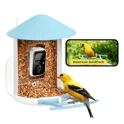 AI-Powered Smart Bird Feeder with Camera