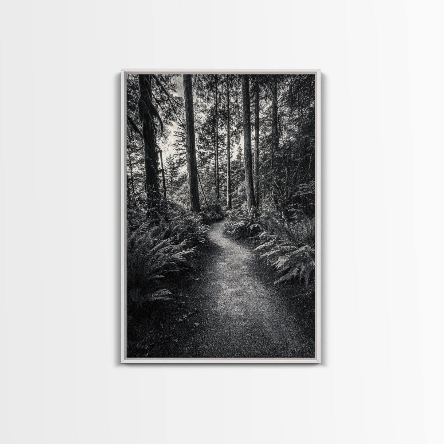Fern Pathway, Enchanted Forest, Woodland Trail, Framed Canvas Print, Nature Walk Wall Art, Boho Bedroom Decor, Moody Landscape Style
