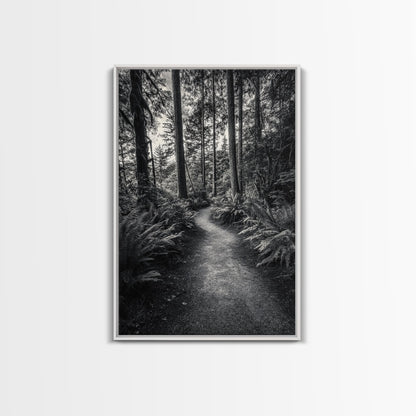 Fern Pathway, Enchanted Forest, Woodland Trail, Framed Canvas Print, Nature Walk Wall Art, Boho Bedroom Decor, Moody Landscape Style