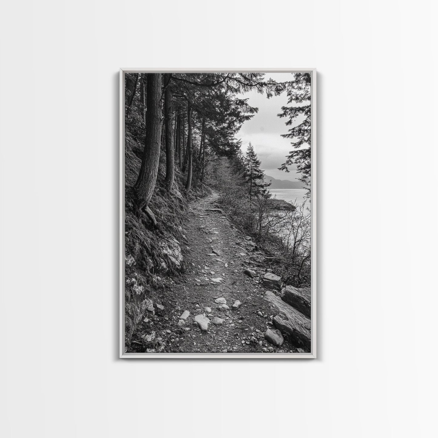 Forest Pathway Trail, Wilderness Escape, Black and White Framed Canvas Print