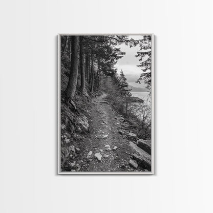 Forest Pathway Trail, Wilderness Escape, Black and White Framed Canvas Print