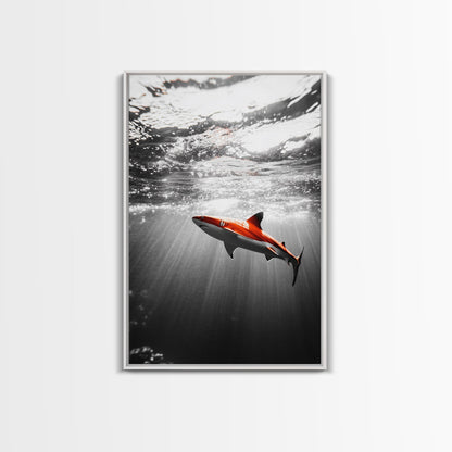 Red Shark, Underwater Scene, Ocean Light Rays, Color Contrast, Canvas Print