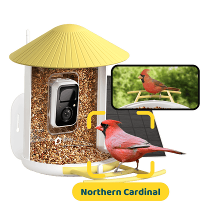 Solar Smart Bird Feeder with AI HD Camera