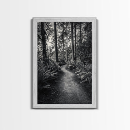 Fern Pathway, Enchanted Forest, Woodland Trail, Framed Canvas Print, Nature Walk Wall Art, Boho Bedroom Decor, Moody Landscape Style