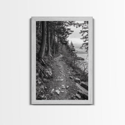 Forest Pathway Trail, Wilderness Escape, Black and White Framed Canvas Print
